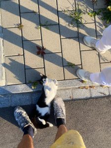 Hier war keine "Renavation" notwendig ;-)